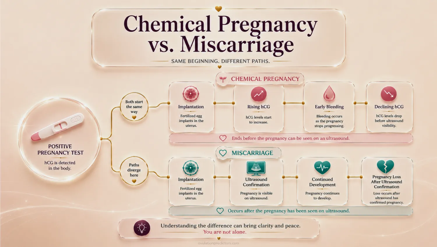 Visual comparison explaining the difference between a chemical pregnancy and a miscarriage during early pregnancy.